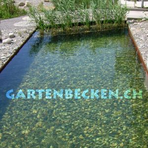 Gartenbecken 032